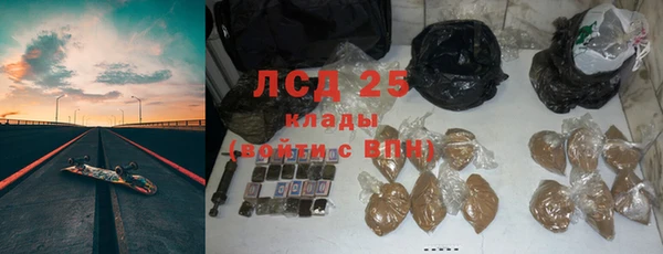 ГАЛЛЮЦИНОГЕННЫЕ ГРИБЫ Вяземский