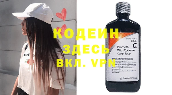 ГАЛЛЮЦИНОГЕННЫЕ ГРИБЫ Вяземский