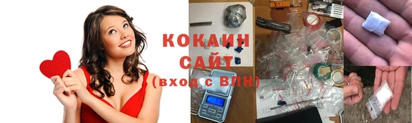 ГАЛЛЮЦИНОГЕННЫЕ ГРИБЫ Вяземский