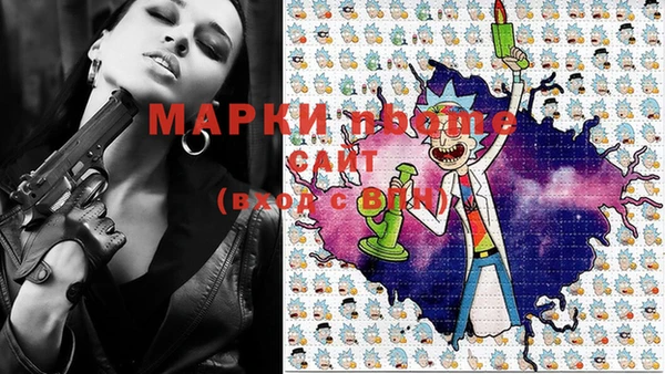 гашик Коряжма