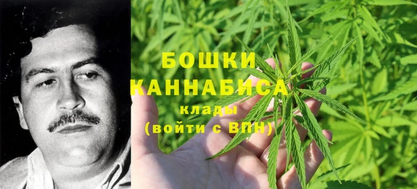 ГАЛЛЮЦИНОГЕННЫЕ ГРИБЫ Вяземский