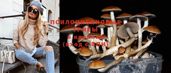 ешки Вязьма