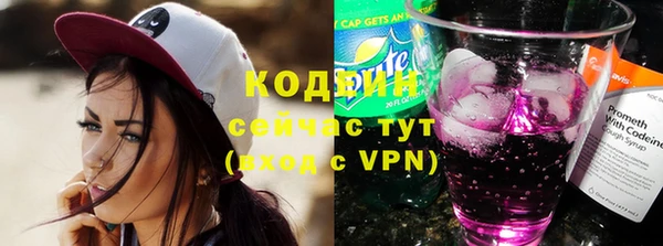 ГАЛЛЮЦИНОГЕННЫЕ ГРИБЫ Вяземский